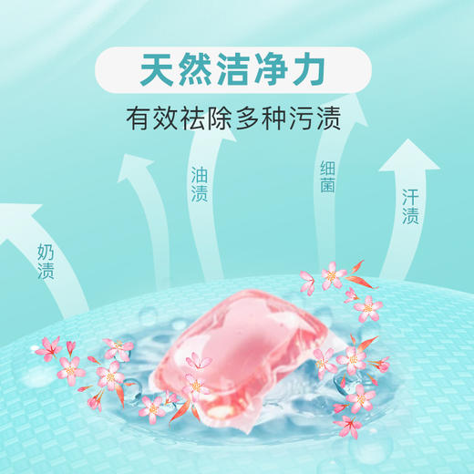 【一般贸易】日本进口松浦川 洗衣凝珠持久留香洗衣液低泡留香洗衣服除螨柔顺 100粒 商品图2