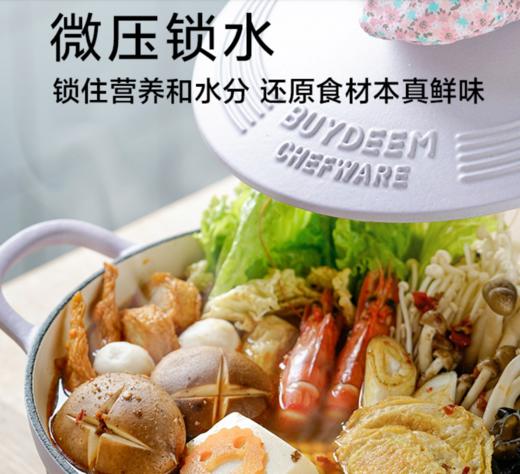 北鼎22cm珐琅锅铸铁煲汤家用焖炖锅多功能炒锅进口平底锅具电磁炉蒸锅 商品图0