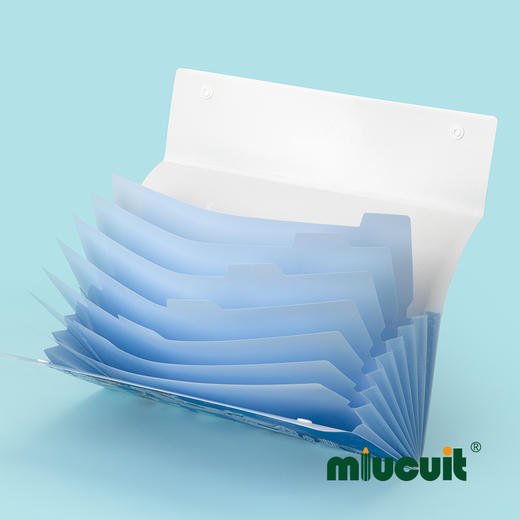 日本进口CRUX柯南限定款名侦探柯南联名款学生A4文件收纳夹 试卷 风琴文件袋 商品图2