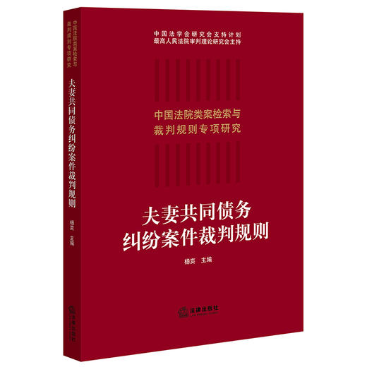 夫妻共同债务纠纷案件裁判规则  杨奕 商品图0