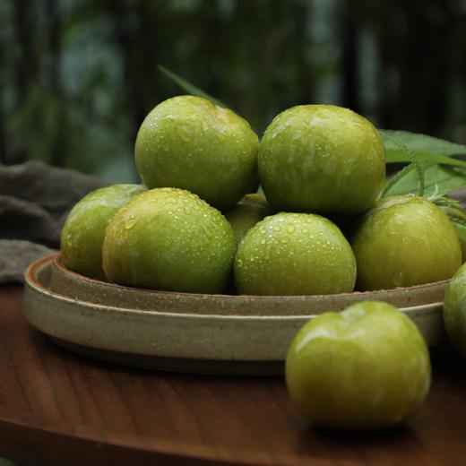 【已下架】只有1%的人吃过的四川蜂糖李 不打药 不催熟 入口香甜 皮薄肉厚5斤 现摘现发 顺丰包邮[福利品] 商品图1