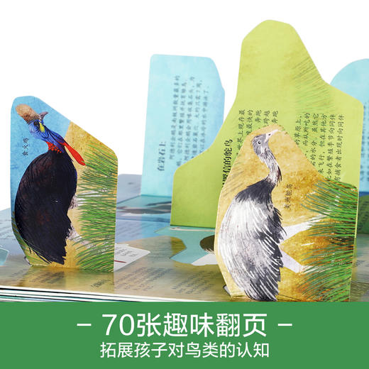 乐乐趣揭秘翻翻书系列第六辑 揭秘鸟类 商品图2