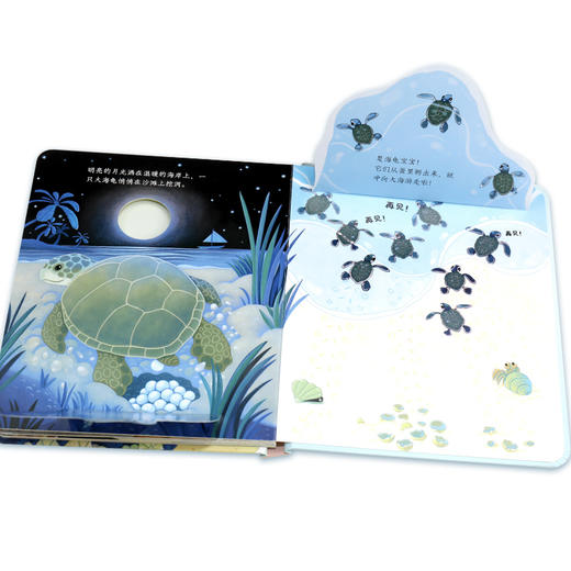 尤斯伯恩偷偷看里面 第四辑 （虫子+蜜蜂+海边+冰雪） 商品图3