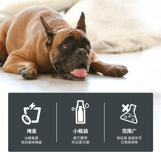 道力其宠物除臭剂便携式狗狗猫咪去尿味 环境空气清新剂 商品图6