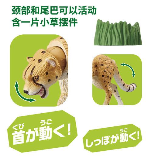 安利亚 - ANI-139607野生猎豹 商品图1