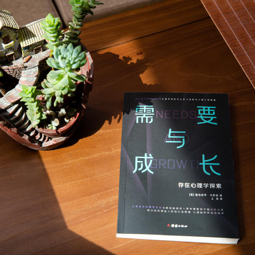 需要与成长：存在心理学探索+动机与人格 商品图3