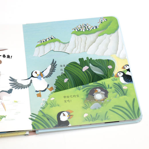 尤斯伯恩偷偷看里面 海边 商品图4