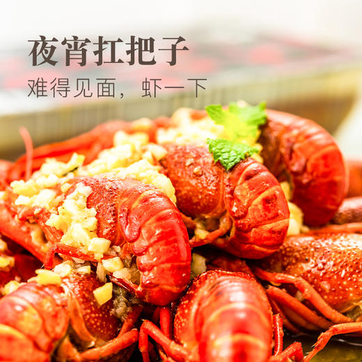 盱眙龙虾中号900g 商品图3