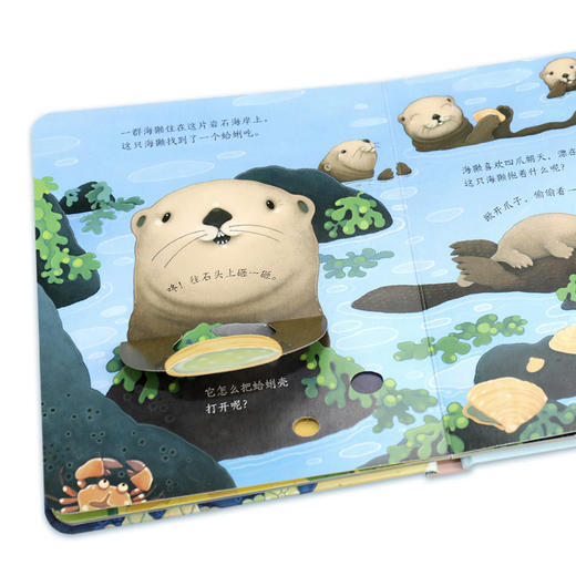 尤斯伯恩偷偷看里面 海边 商品图2