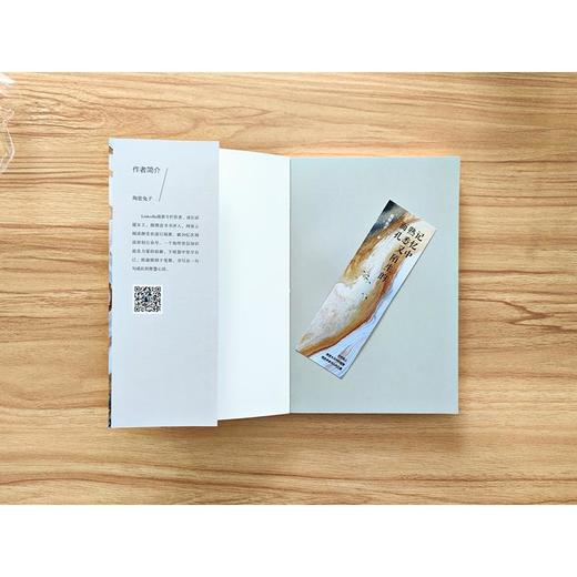 记忆中熟悉又陌生的面孔 商品图4