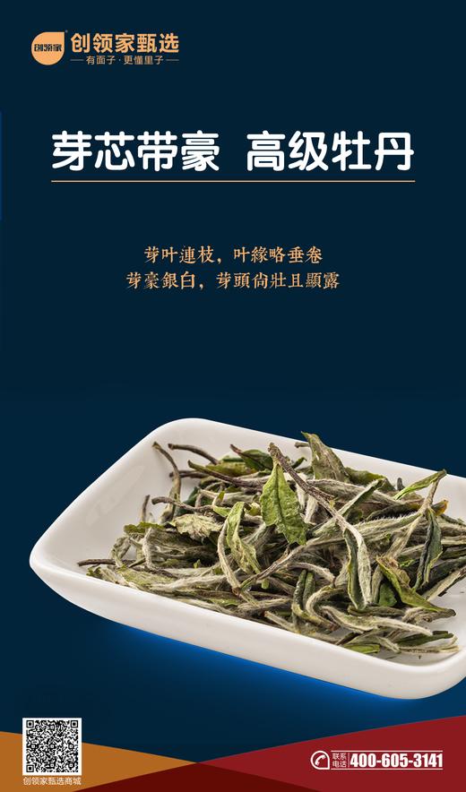 白六老白茶·牡丹王 商品图2