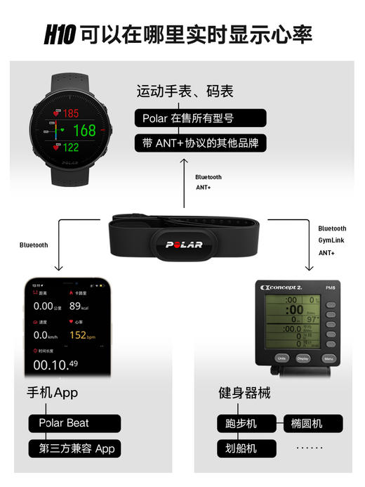 芬兰 博能 POLAR H10 心率胸带 ECG原理精准测心率心跳 HIIT高强度训练心律胸带 商品图5