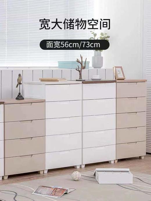 8F  IRIS爱丽思简约百搭收纳柜 商品图2