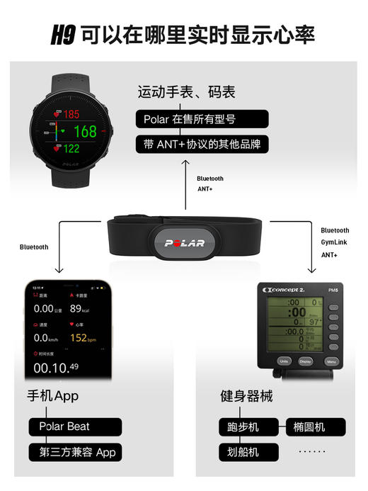 芬兰 博能 POLAR H9心率胸带 精准测心律 xinlv传感器 ECG心电测量原理 商品图4
