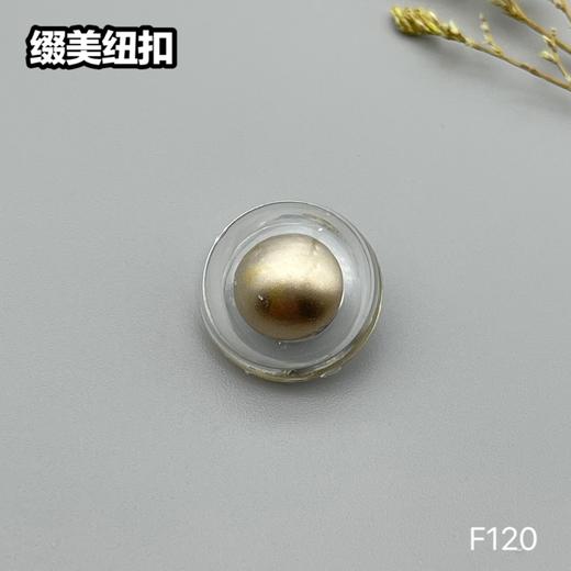 F120(整包购买) 商品图2