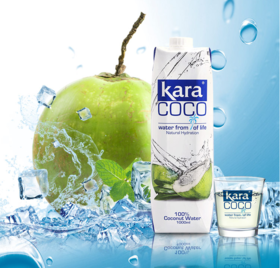 KARA牌椰子水1000ml-26737720