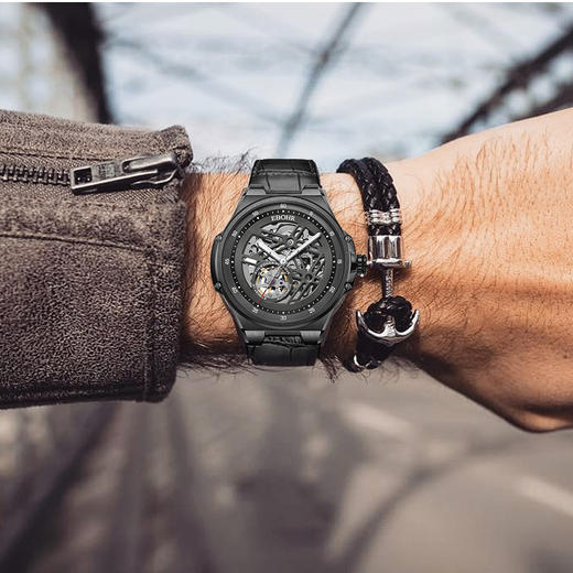 依波表30周年机械手表男品牌旗舰店男士手表2101 商品图3