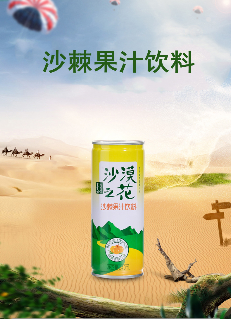 沙漠之花沙棘果汁饮料240ml12罐装