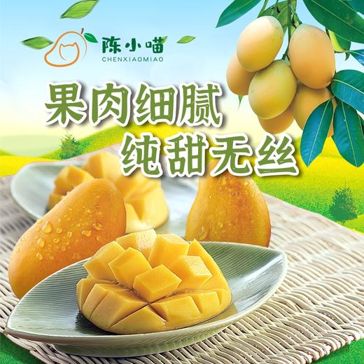 椰香芒 商品图1