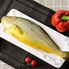 【顺丰包邮】青岛本地大黄鱼—海鲜新鲜冷冻2斤 商品缩略图0