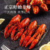 盱眙龙虾大号900g 商品缩略图4
