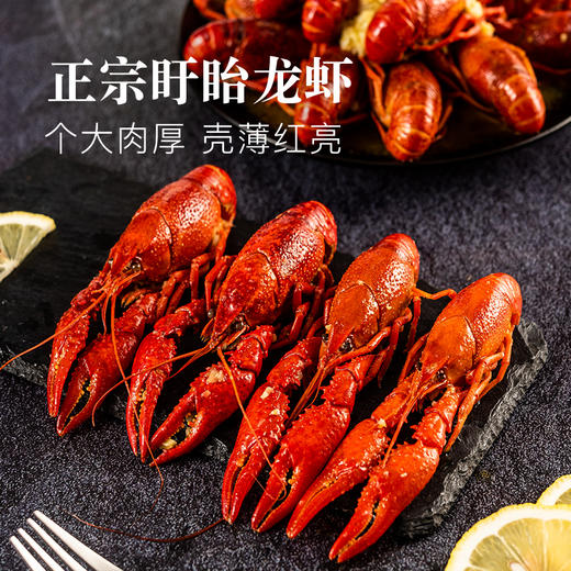 盱眙龙虾大号900g 商品图4
