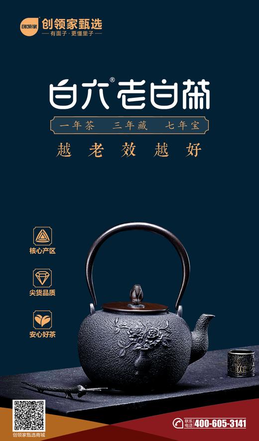 白六老白茶·白毫银针 商品图3