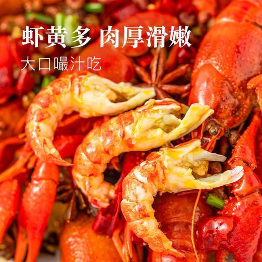 盱眙龙虾大号900g 商品图0
