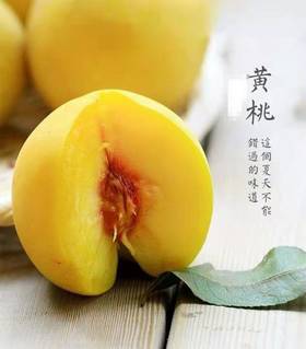 【季节限定】黄河故道 砀山黄桃 净重2.2~2.4kg