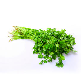 香菜  500g【DD】