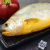 【顺丰包邮】青岛本地大黄鱼—海鲜新鲜冷冻2斤 商品缩略图2