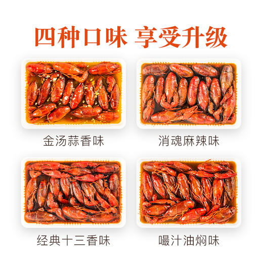 盱眙龙虾大号900g 商品图2