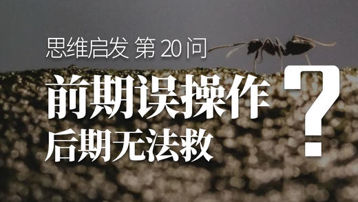 20 哪些前期误操作后期无法救 商品图0