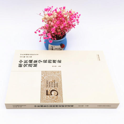 正版 现货【出版社直销】中医藏象学说的理论研究进展（中医基础理论研究丛书5）邢玉瑞 主编 中国中医药出版社 商品图2