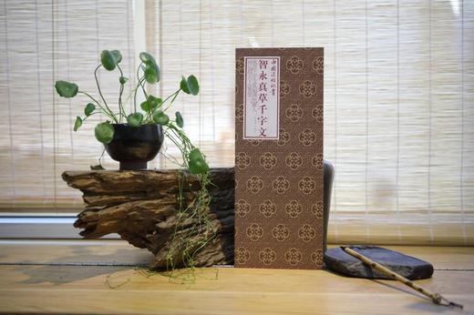 智永真草千字文·中国法帖珍赏 商品图0
