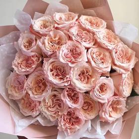 国产玫瑰-微光-20支