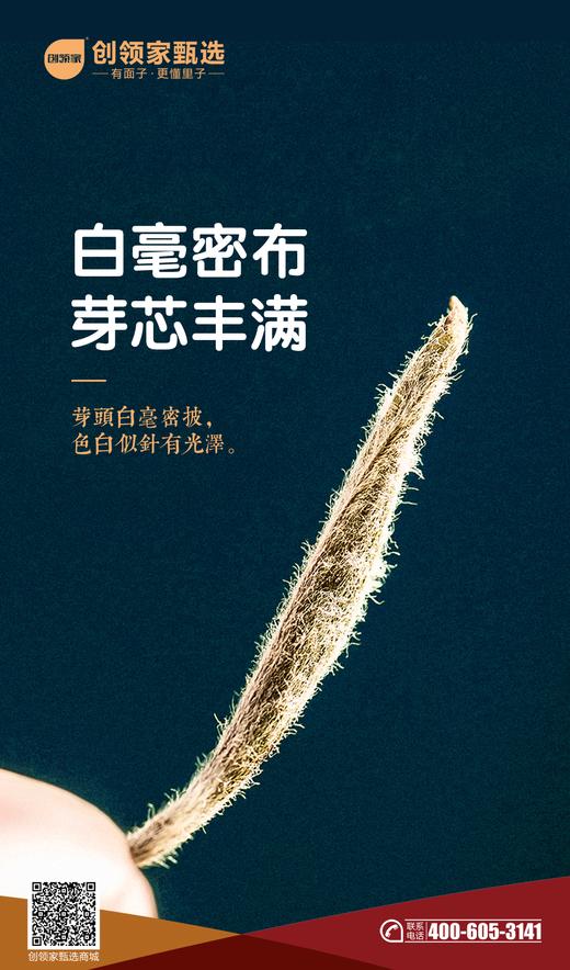 白六老白茶·白毫银针 商品图2