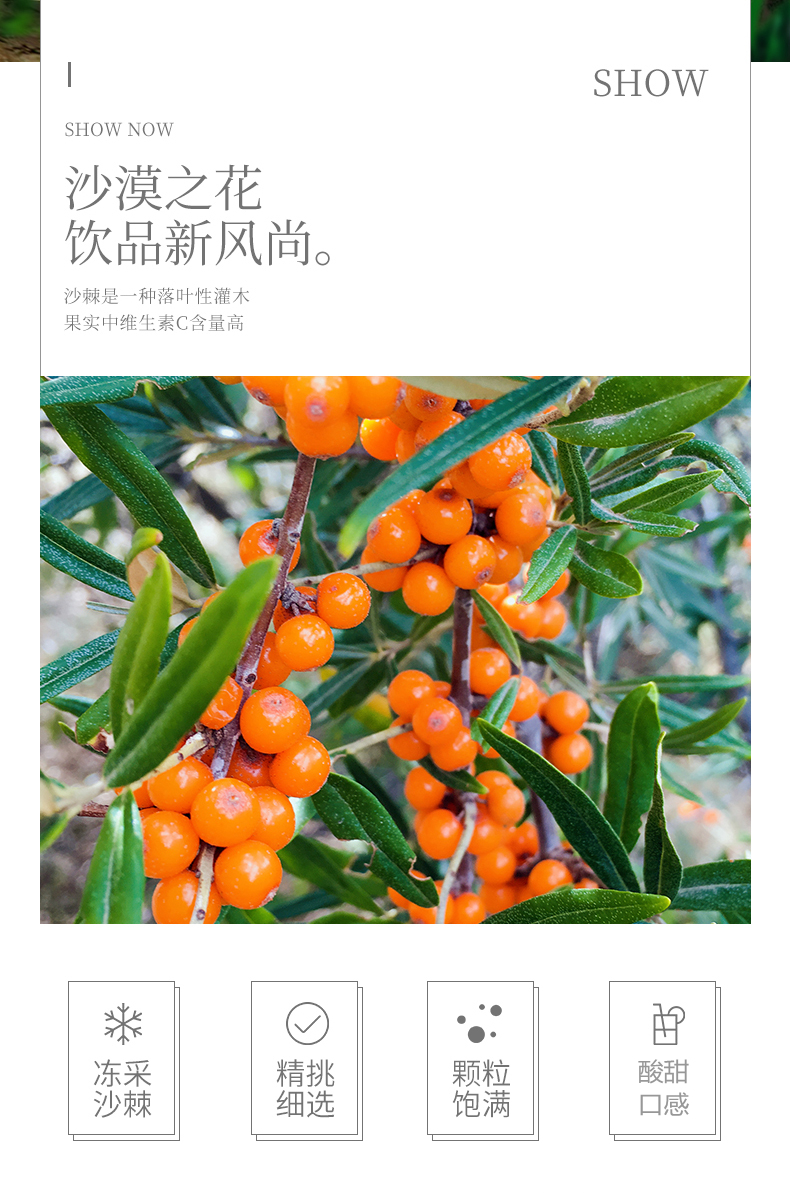 沙漠之花沙棘果汁饮料240ml12罐装