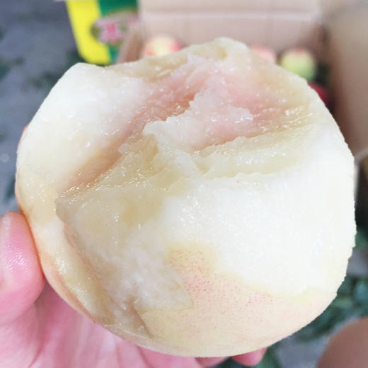 【季节限定】奉化水蜜桃 什么是水蜜桃 这才是人间水蜜桃 商品图1