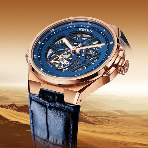 依波表30周年机械手表男品牌旗舰店男士手表2101 商品图7