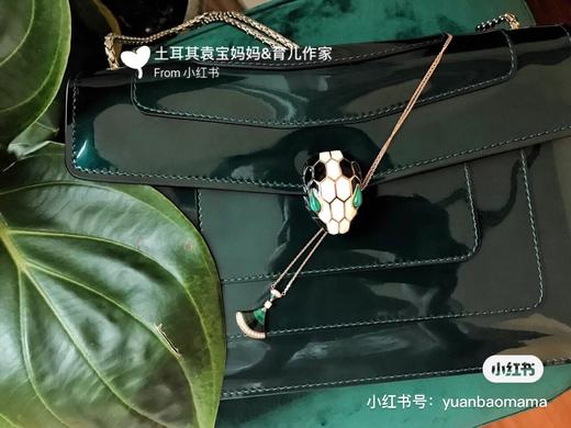 祖母绿镜面漆皮包 商品图3