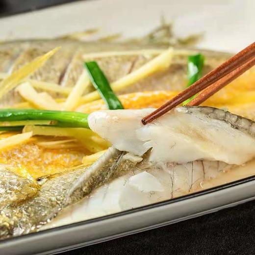 【顺丰包邮】青岛本地大黄鱼—海鲜新鲜冷冻2斤 商品图3