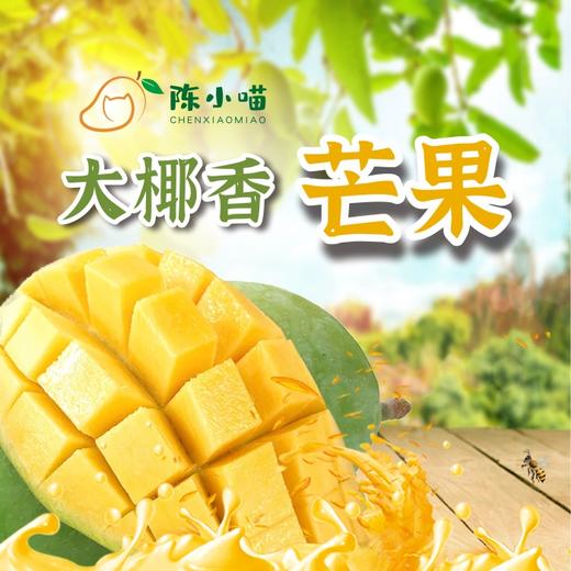 椰香芒 商品图0