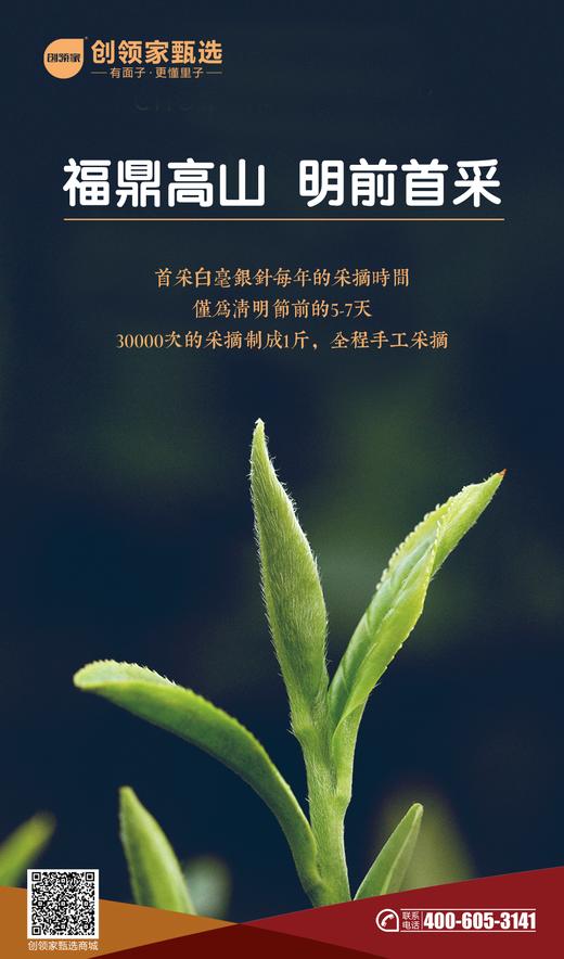 白六老白茶·白毫银针 商品图1