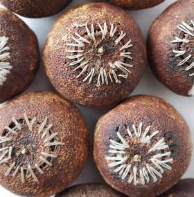 2017年 正宗新会梅江大红陈皮柑 （散装500g 密封袋包装）