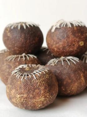 2015年 正宗新会梅江大红陈皮柑 （散装500g 密封袋包装）