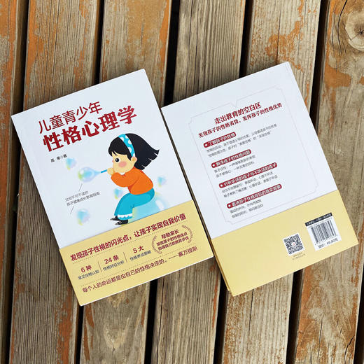 儿童青少年性格心理学 高寒著 帮助家长发现孩子性格优点协调教育步伐 孩子健康成长教育指南 商品图3