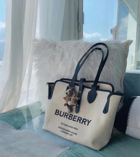 Burberry帆布子母购物袋，内里还有一个小包，实拍高品质，孤品清仓特价处理，配防尘袋包装，原价380，学生党，上班族，宝妈，超实用！！！超值！！！