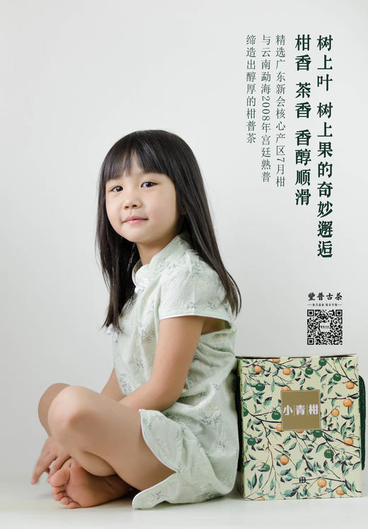 2020年小青柑正宗新会青陈皮熟普礼盒（纸盒装，500克/盒，内约45颗，以重量为准） 商品图2