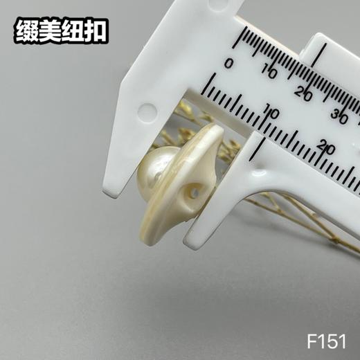 F151(整包购买) 商品图8